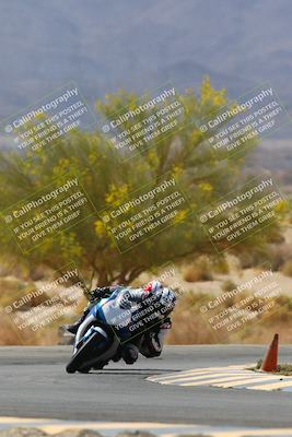 media/Apr-10-2022-SoCal Trackdays (Sun) [[f104b12566]]/Turn 5 Tree of Life (1040am)/